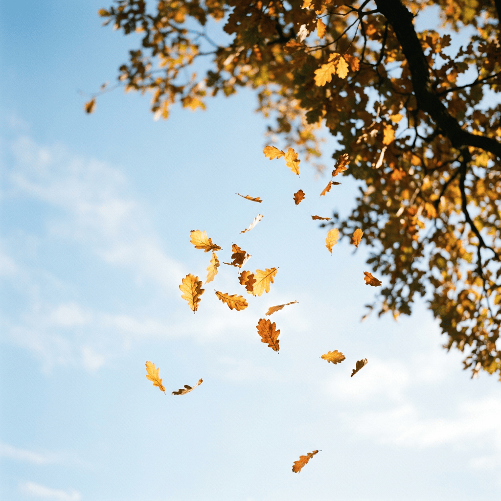 Golden oak leaves drifting through a blue sky beneath tree branches